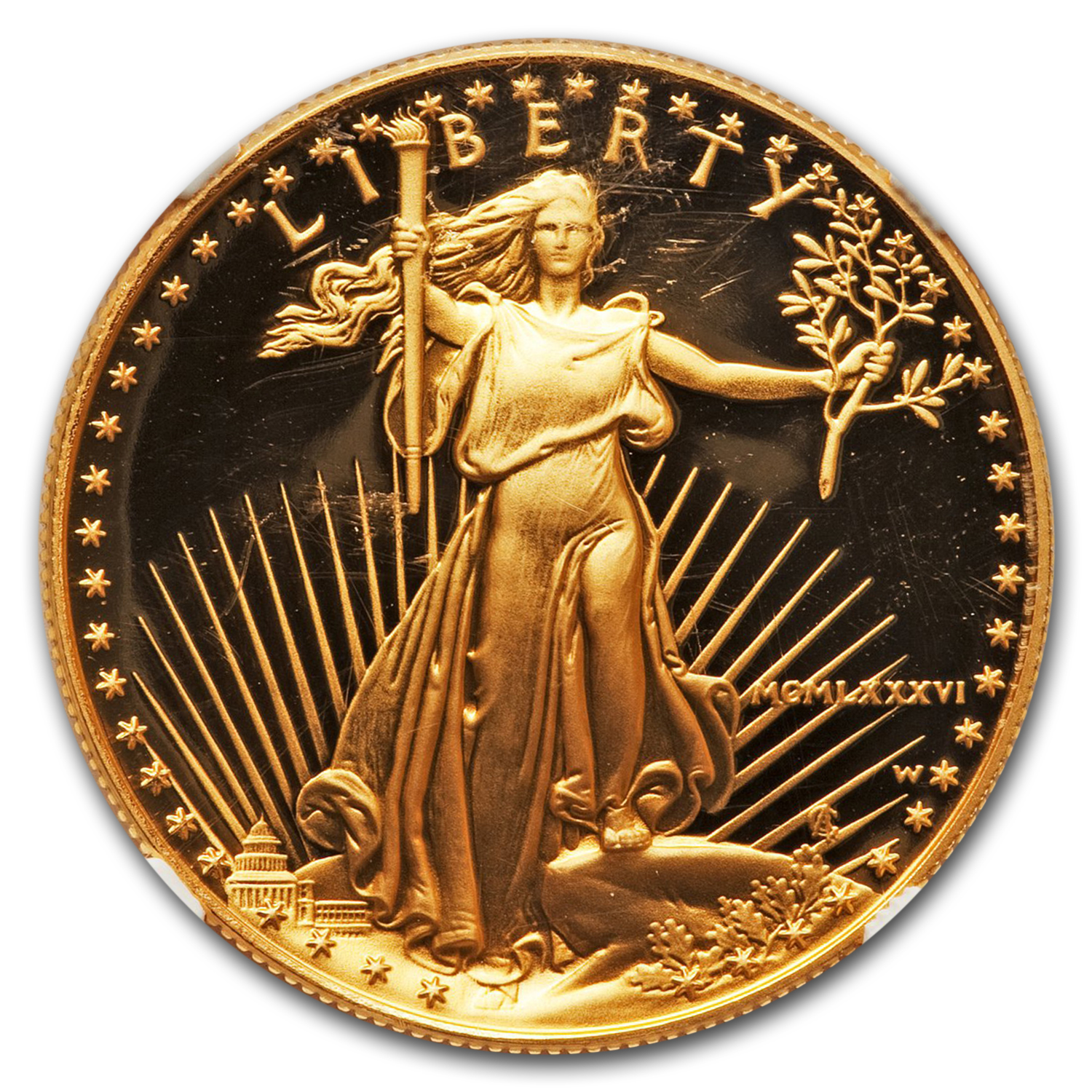 1986-W 1 oz Proof American Gold Eagle PF-70 NGC (Moy Label) | eBay
